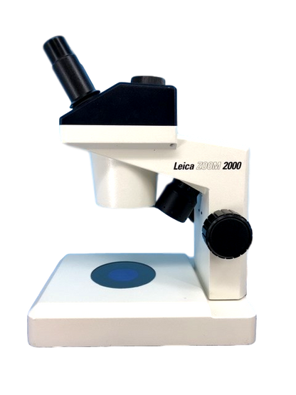 Zoom 2000 Stereo Microscope