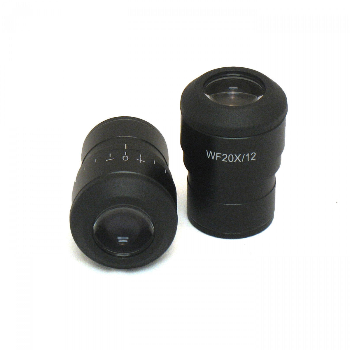 Eyepieces for Accu-Scope 3072 Microscope