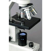 AmScope 40x-800x Student Compound Microscope - LED Cordless