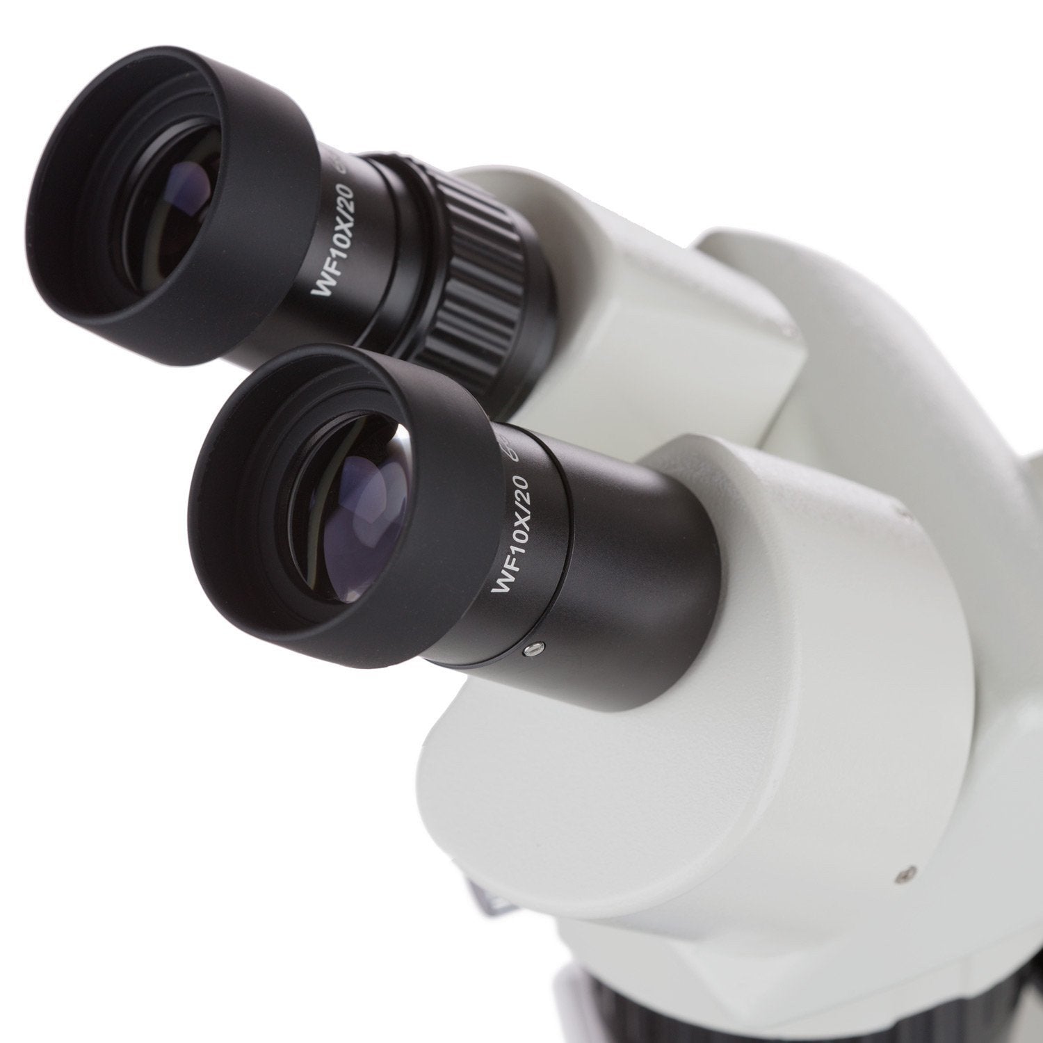 AmScope 20X-40X Super Widefield Top & Bottom LED Lights Pillar Stand S ...