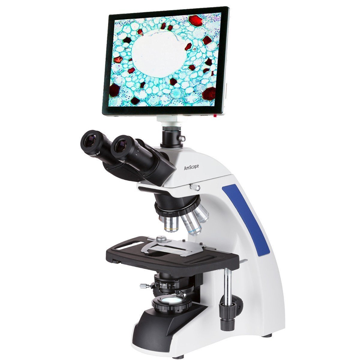 AmScope 40X-2500X Infinity Plan Laboratory Compound Microscope with LC ...