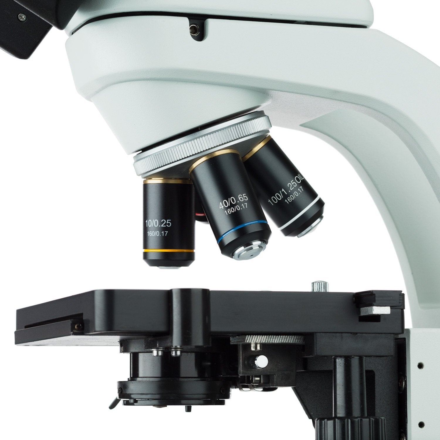AmScope 40X-2000X LED Biological Trinocular Compound Microscope with 5 ...