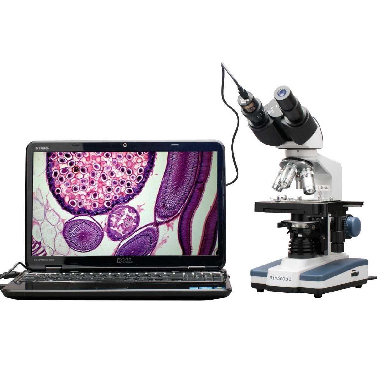 AmScope 40X-2500X LED Digital Binocular Compound Microscope w 3D Stage + 5MP USB Camera