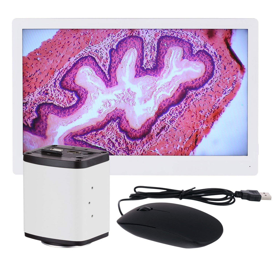 HDMI Microscope Cameras – Microscope Central