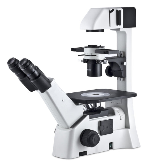 Motic AE31 Phase Contrast Inverted Microscope Series - Microscope Central
 - 1