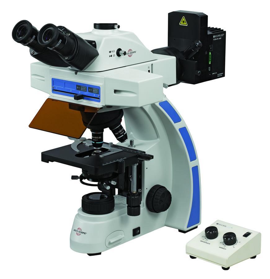 Accu-Scope EXC-350 LED Fluorescence Dual Wavelength Microscope - Microscope Central
