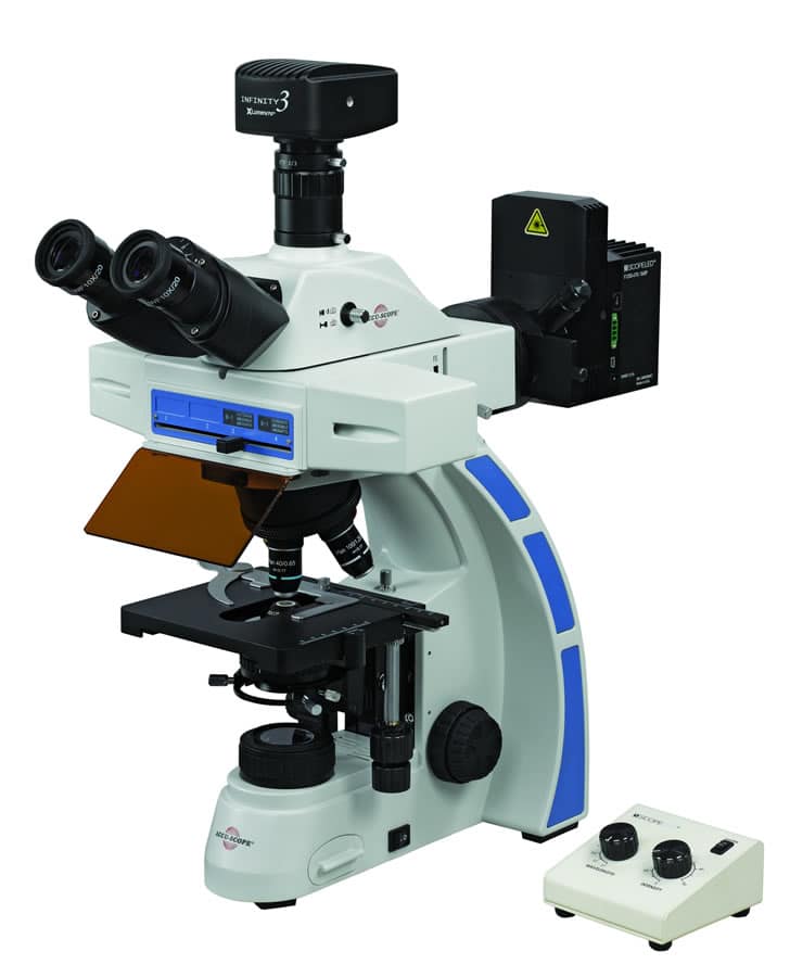 Accu-Scope EXC-350 LED Fluorescence Digital Microscope