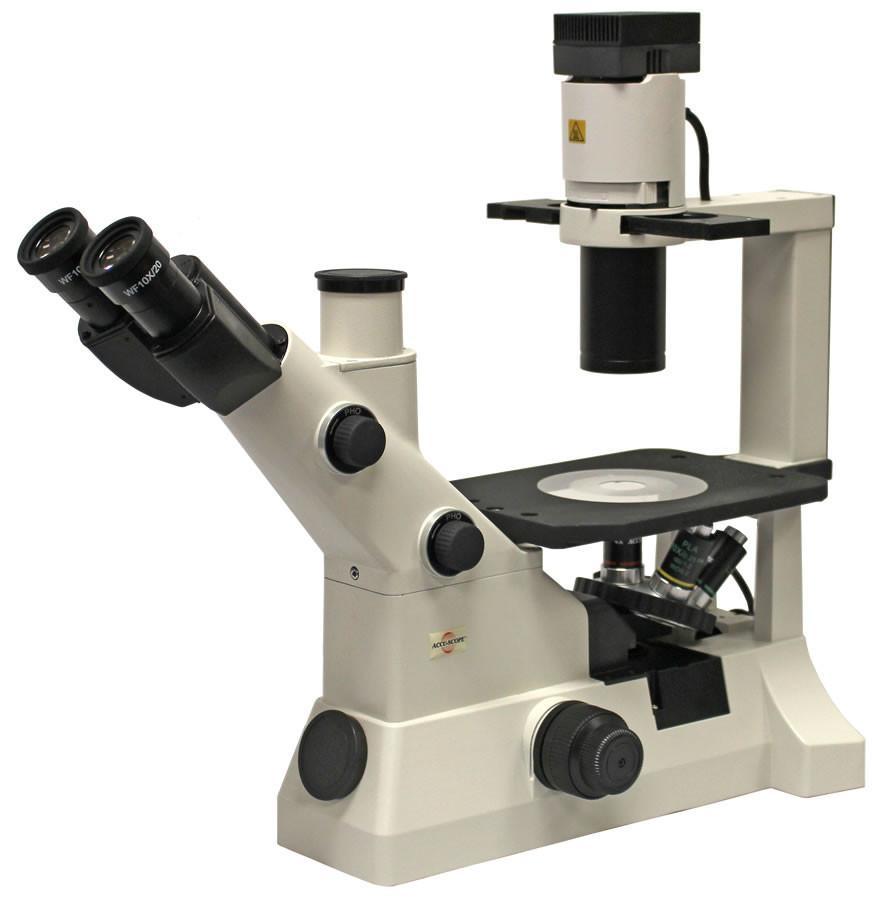 Accu-Scope EXI-300 Inverted Microscope Series - Microscope Central
 - 1