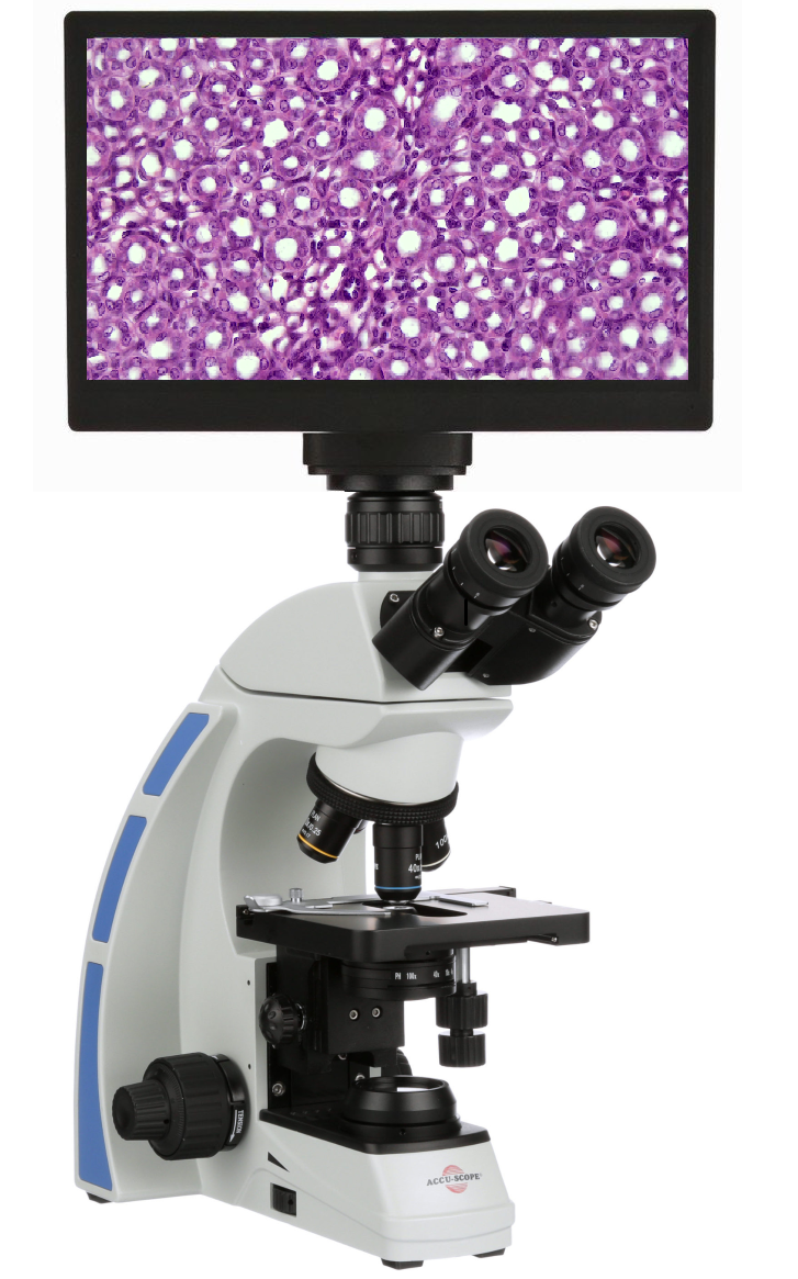 Accu-Scope 3000-LED 4K Digital Microscope | WiFi, USB, HDMI Output ...