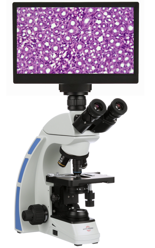 4K Digital Biological Microscope