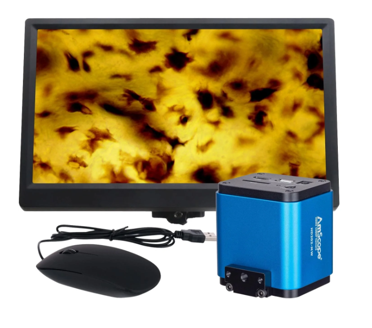Amscope 3.5X-90X Simul-Focal Articulating Zoom Stereo Microscope with 5MP Digital Camera