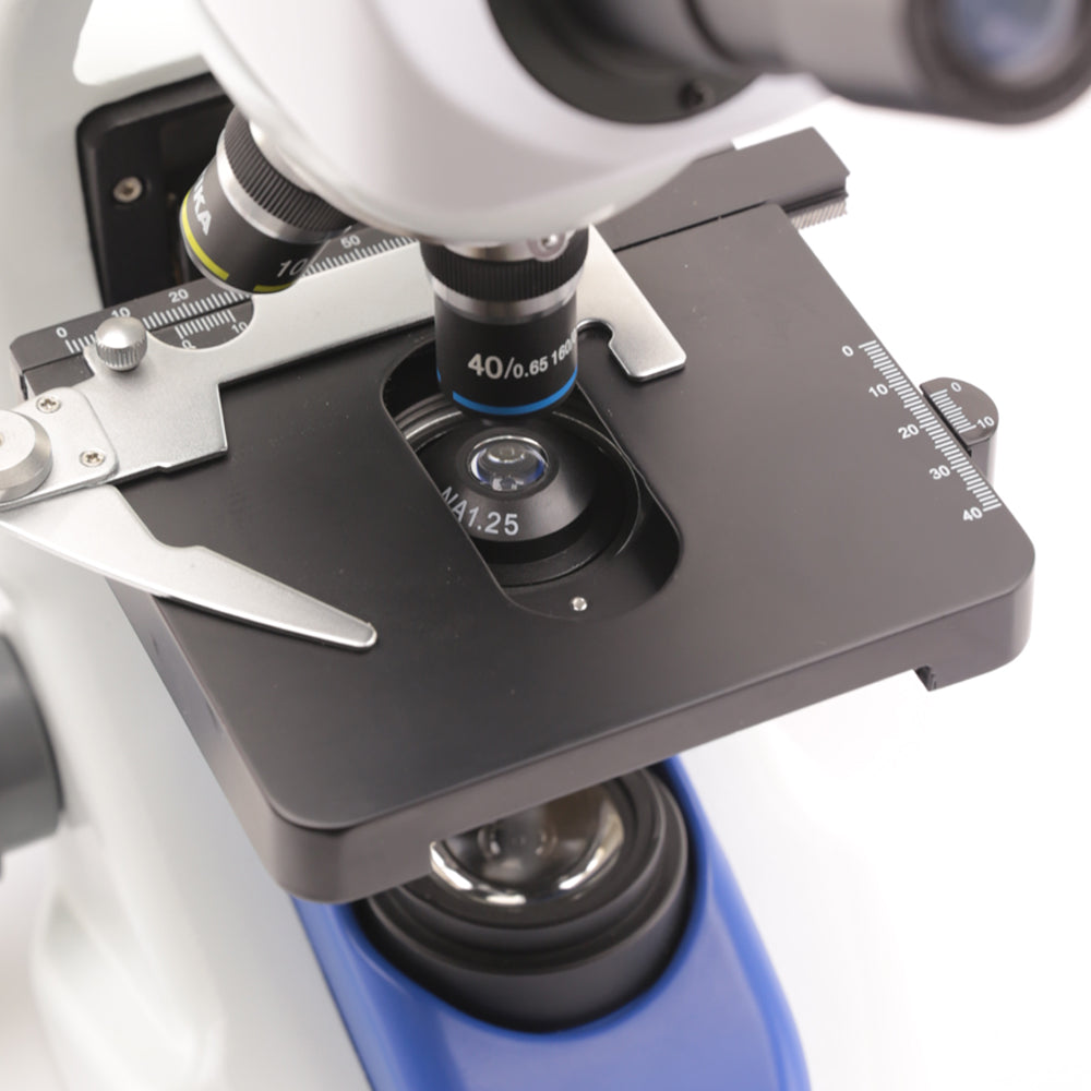Optika B-190 Binocular Microscope | Microscope Central