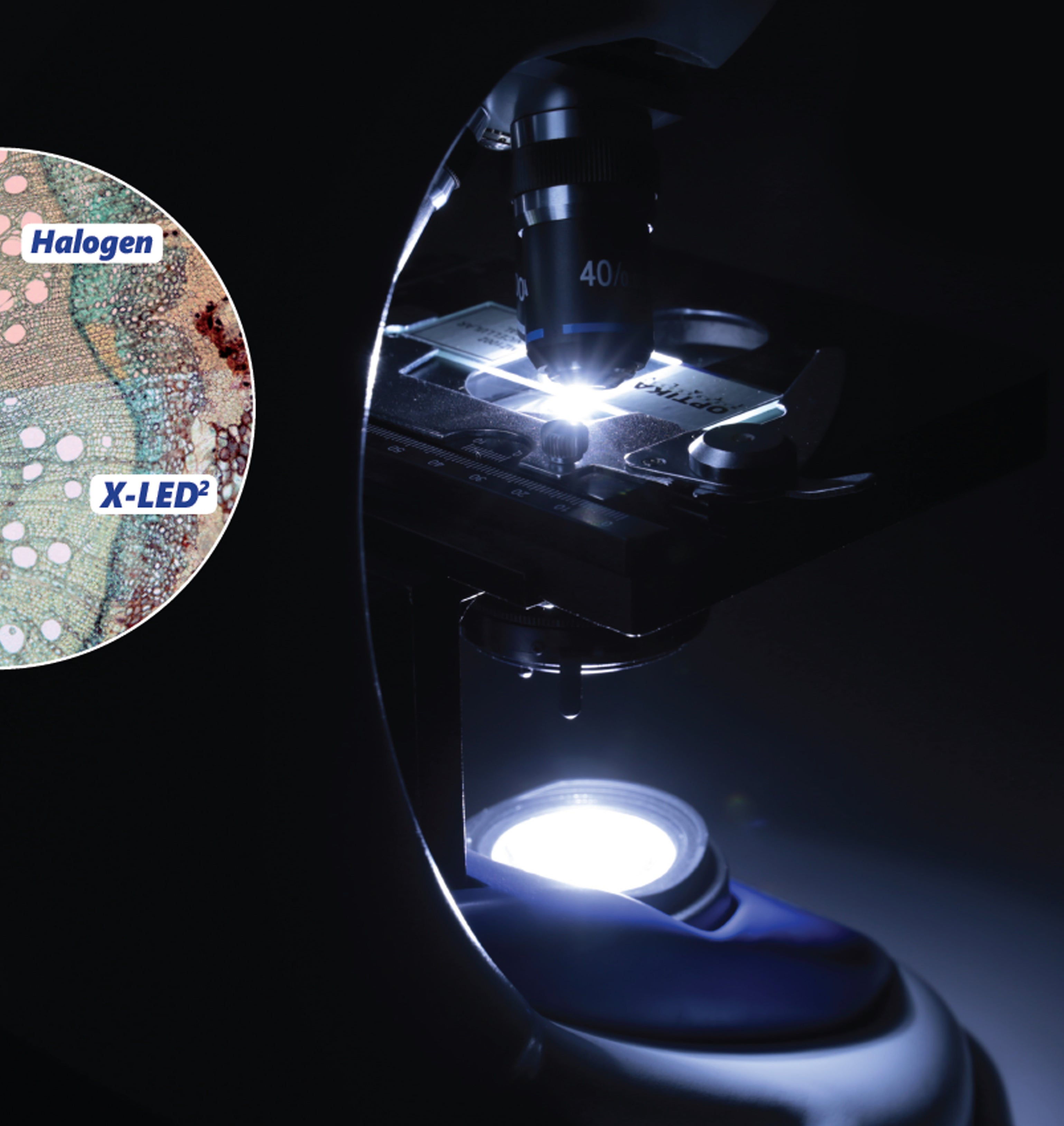 Optika B-190 Binocular Microscope | Microscope Central