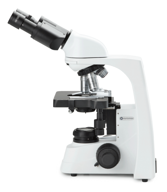 Euromex bScope Phase Contrast Microscope Series