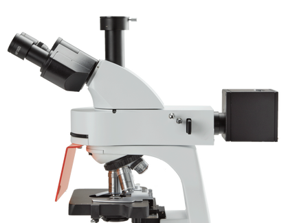 Euromex bScope LED Fluorescence Microscope
