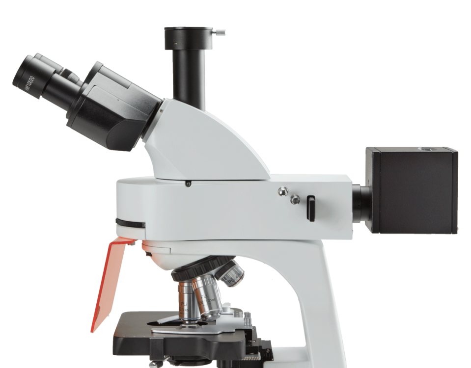 Euromex bScope Mercury Fluorescence Microscope