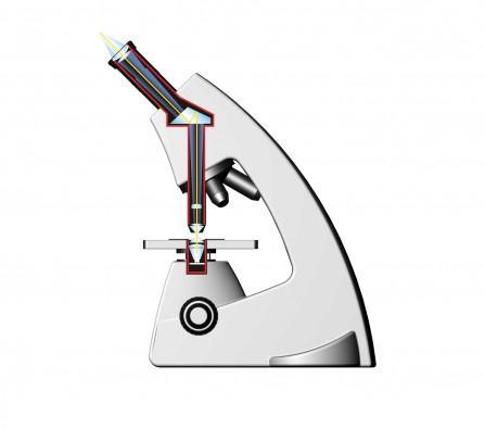 Labomed Sigma Monocular Microscope - Microscope Central
 - 2
