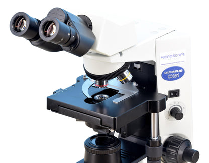 CX31 Microscope