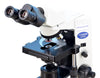 Olympus CX31 Refurbished Microscope
