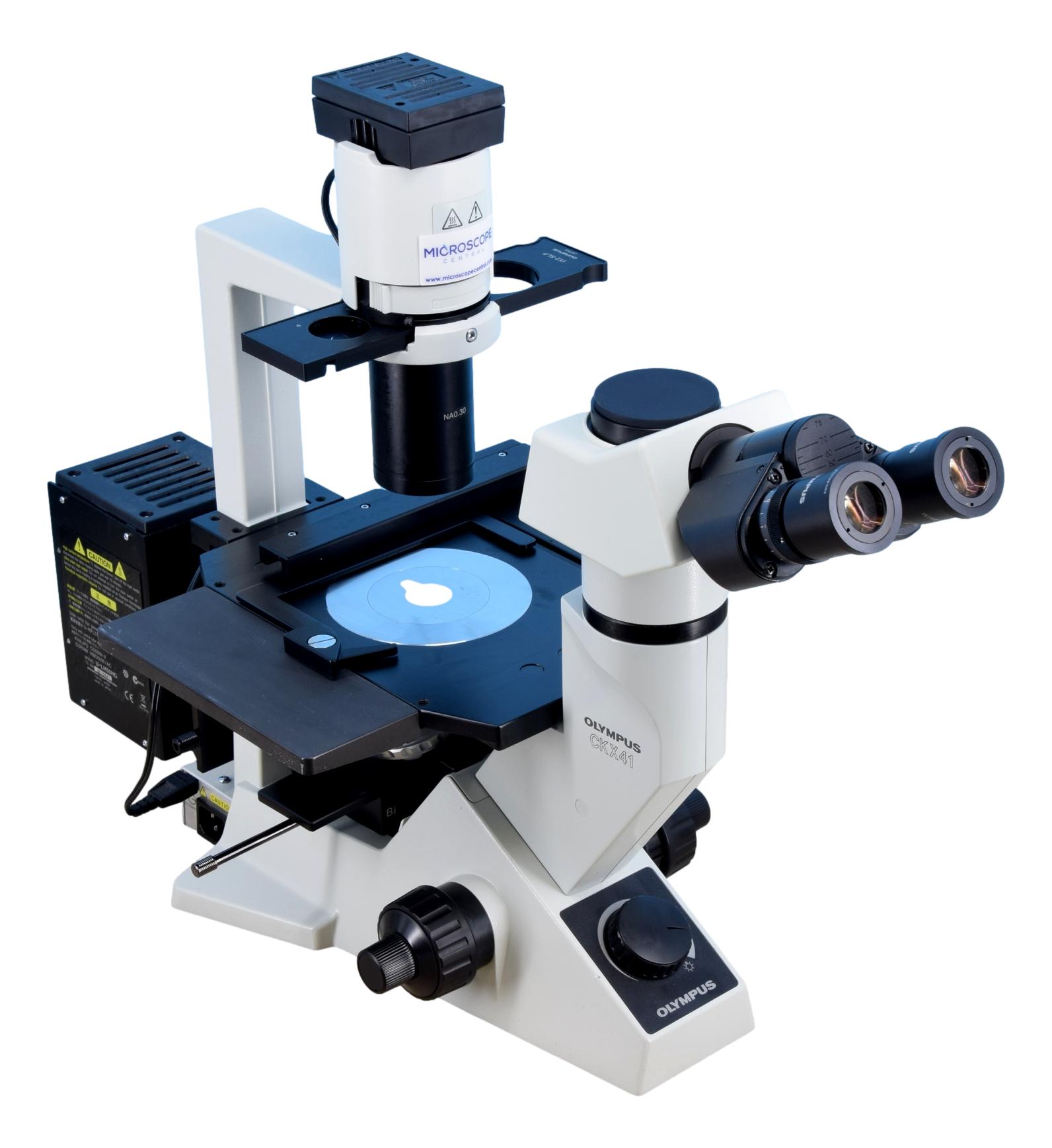 Olympus CKX41 Inverted Phase Contrast Fluorescence Microscope