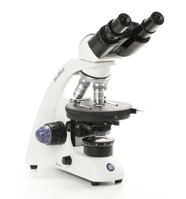 Euromex BioBlue Binocular Polarizing Microscope
