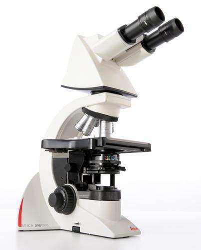 Leica DM1000 Clinical Microscope - Microscope Central
 - 1