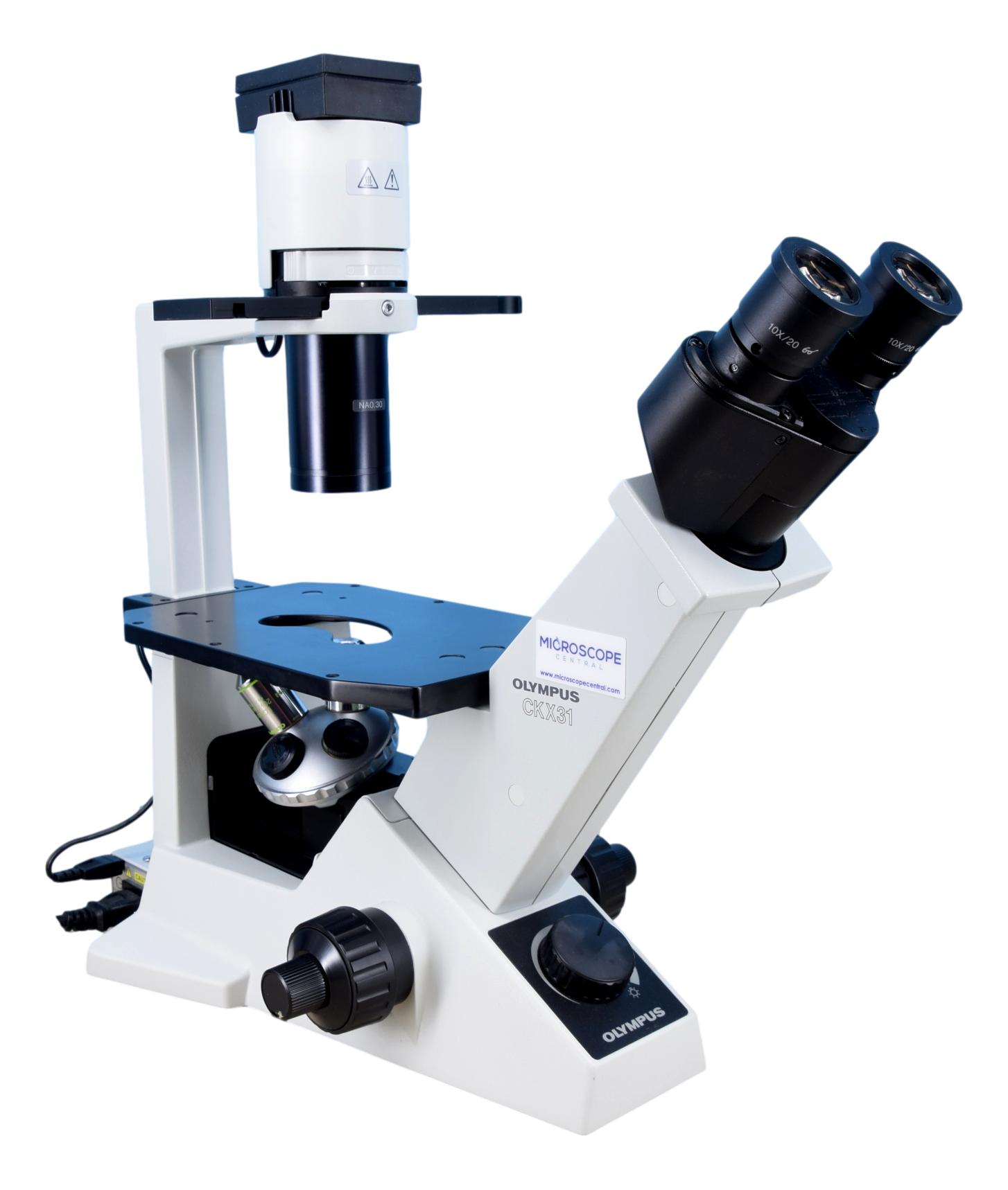 Olympus CKX31 Inverted Phase Contrast Microscope