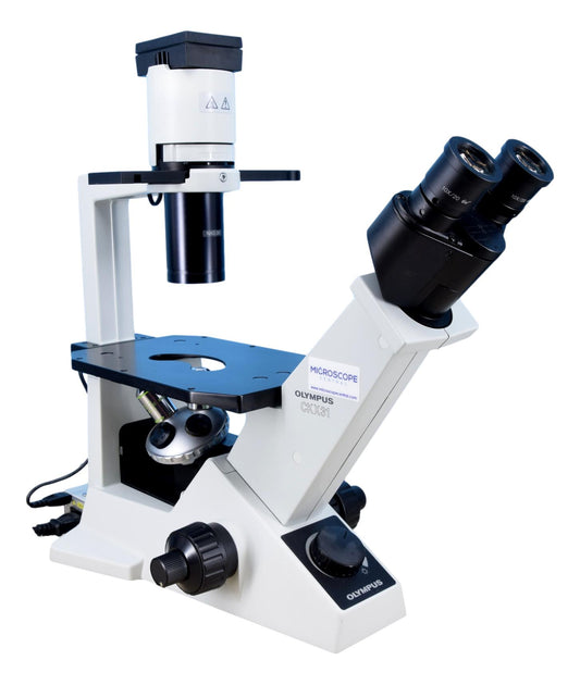 Olympus CKX31 Microscope