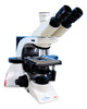 Leica DM2000 Phase Contrast Microscope
