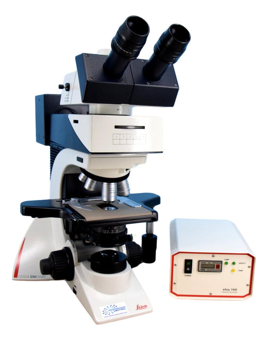 Leica DM2000 Fluorescence Microscope