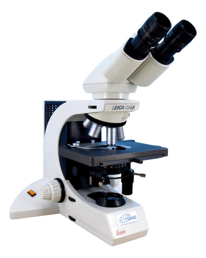 Leica DMLB Clinical Microscope w/ Binocular Head