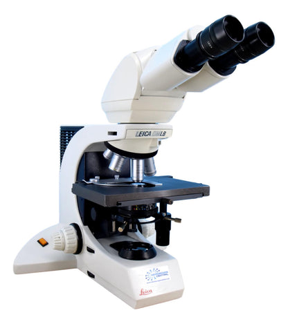 Leica DMLB Clinical Microscope w/ Ergo Tilting Binocular Head