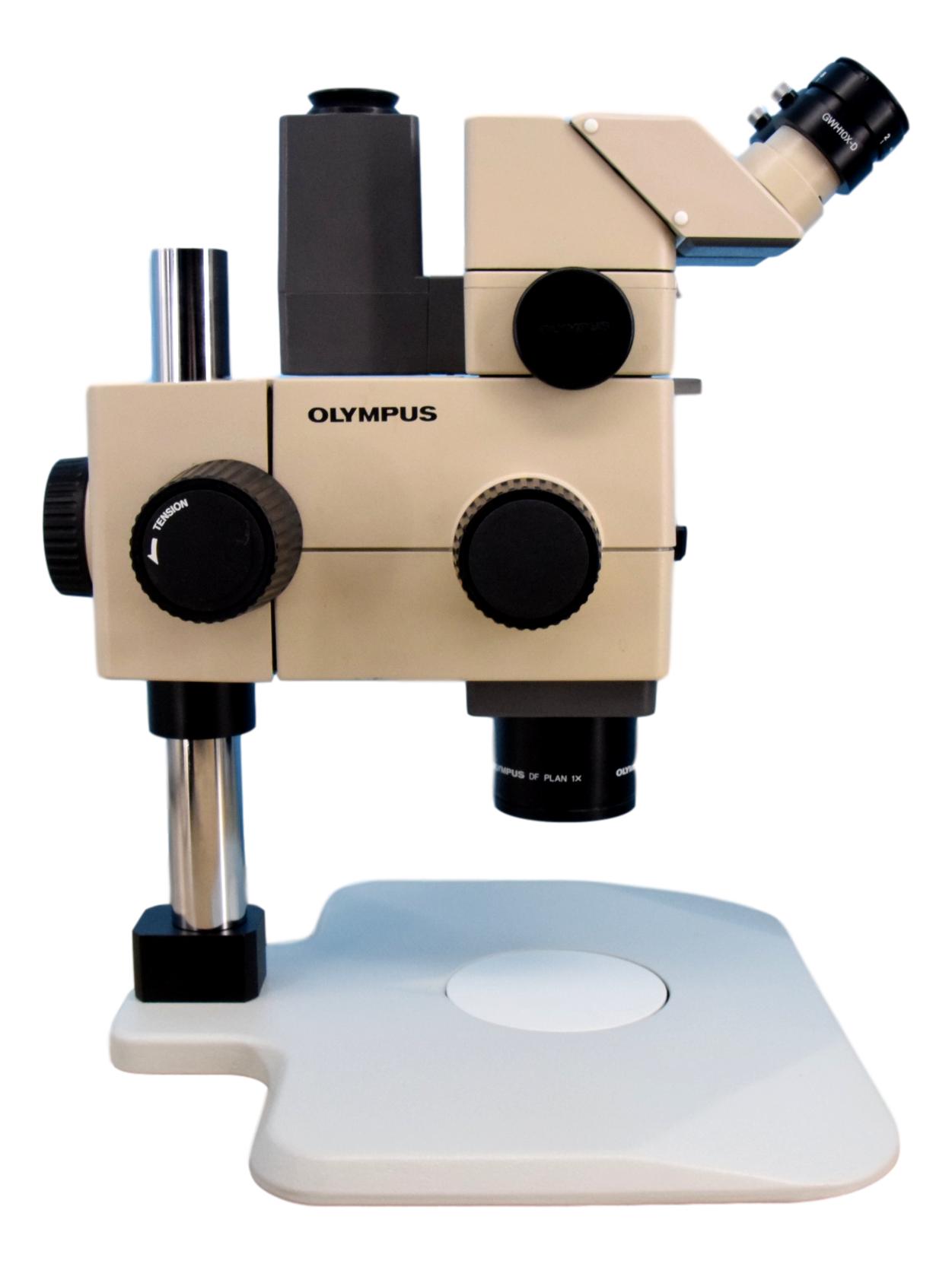 Olympus SZH Stereo Microscope With Photo Port