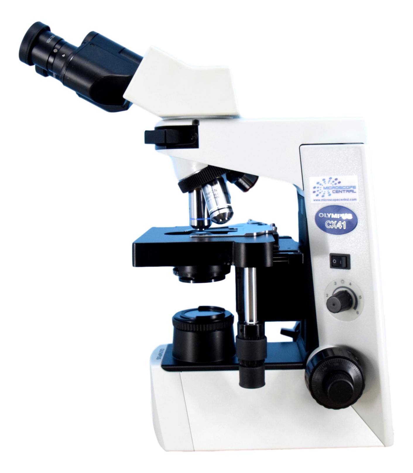 Olympus CX41 Microscope