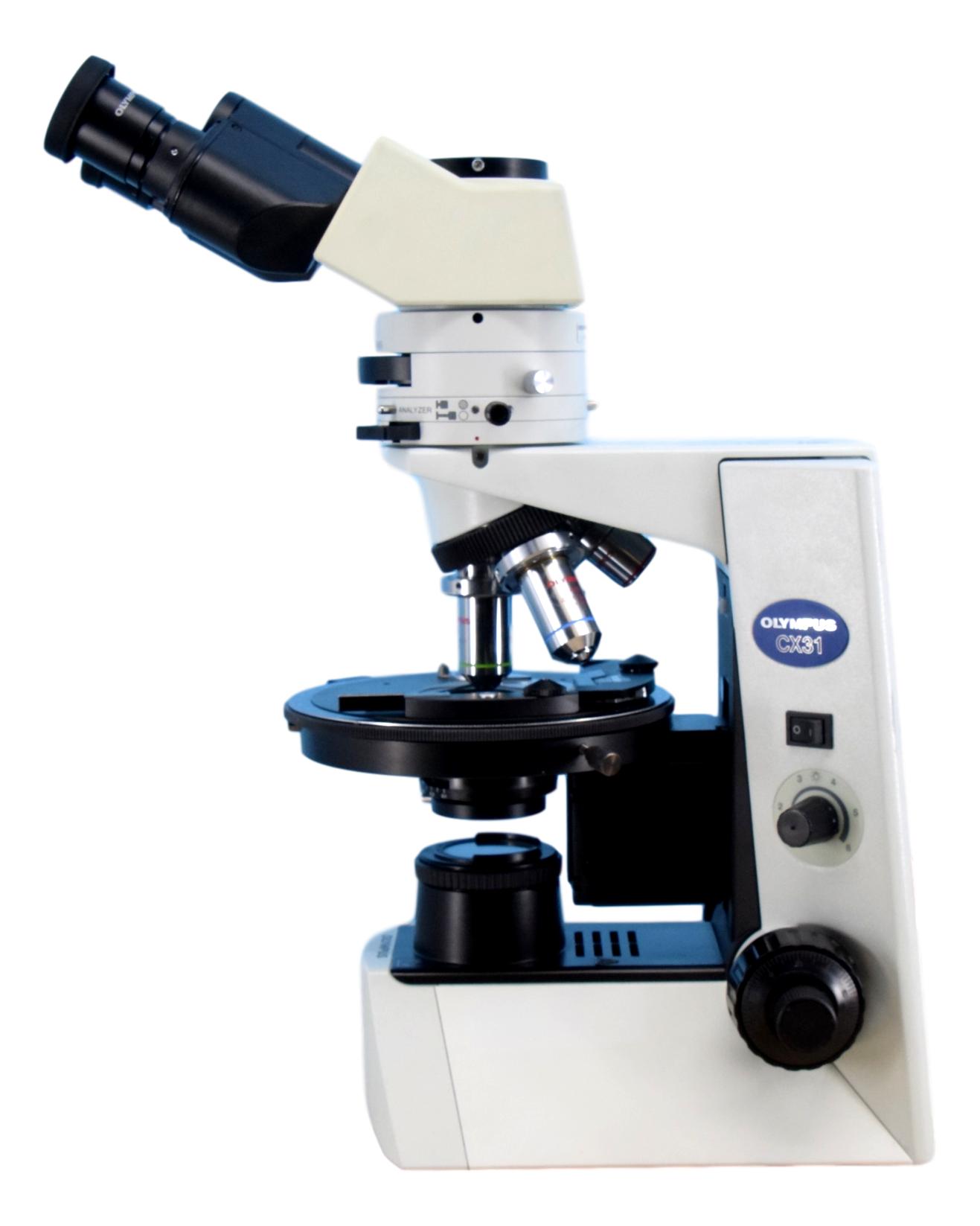 Olympus CX31-P Polarized Light Microscope – Microscope Central