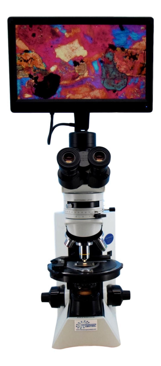Olympus CX31-P Digital HD Microscope