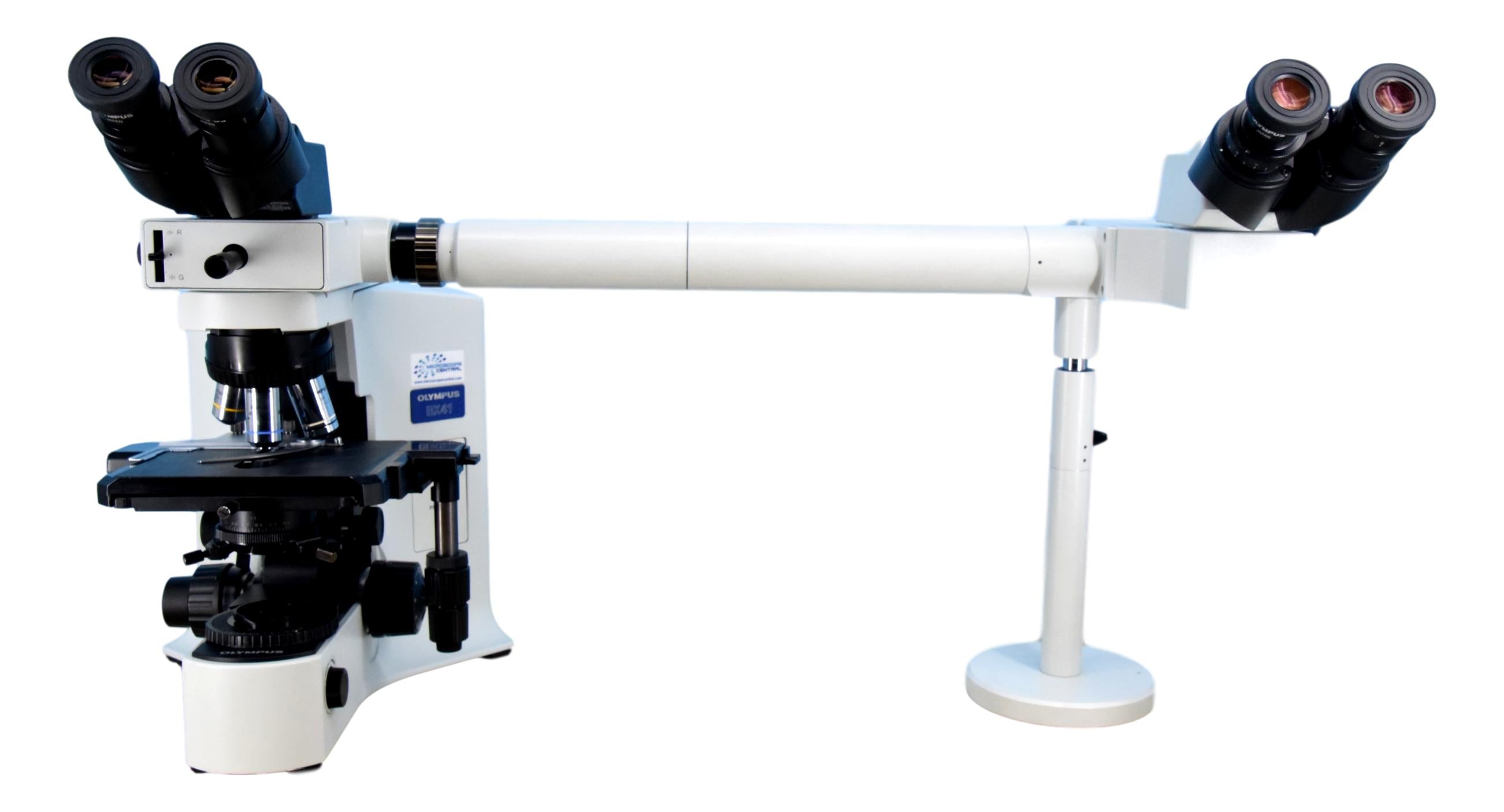 Dual View System Microscope Olympus BX41 Dual Viewing Side-By-Side Microscope – Microscope Central