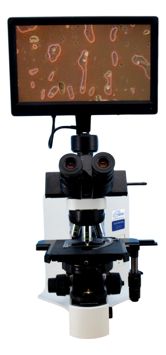 Olympus BX41 Phase Contrast Digital HD Microscope