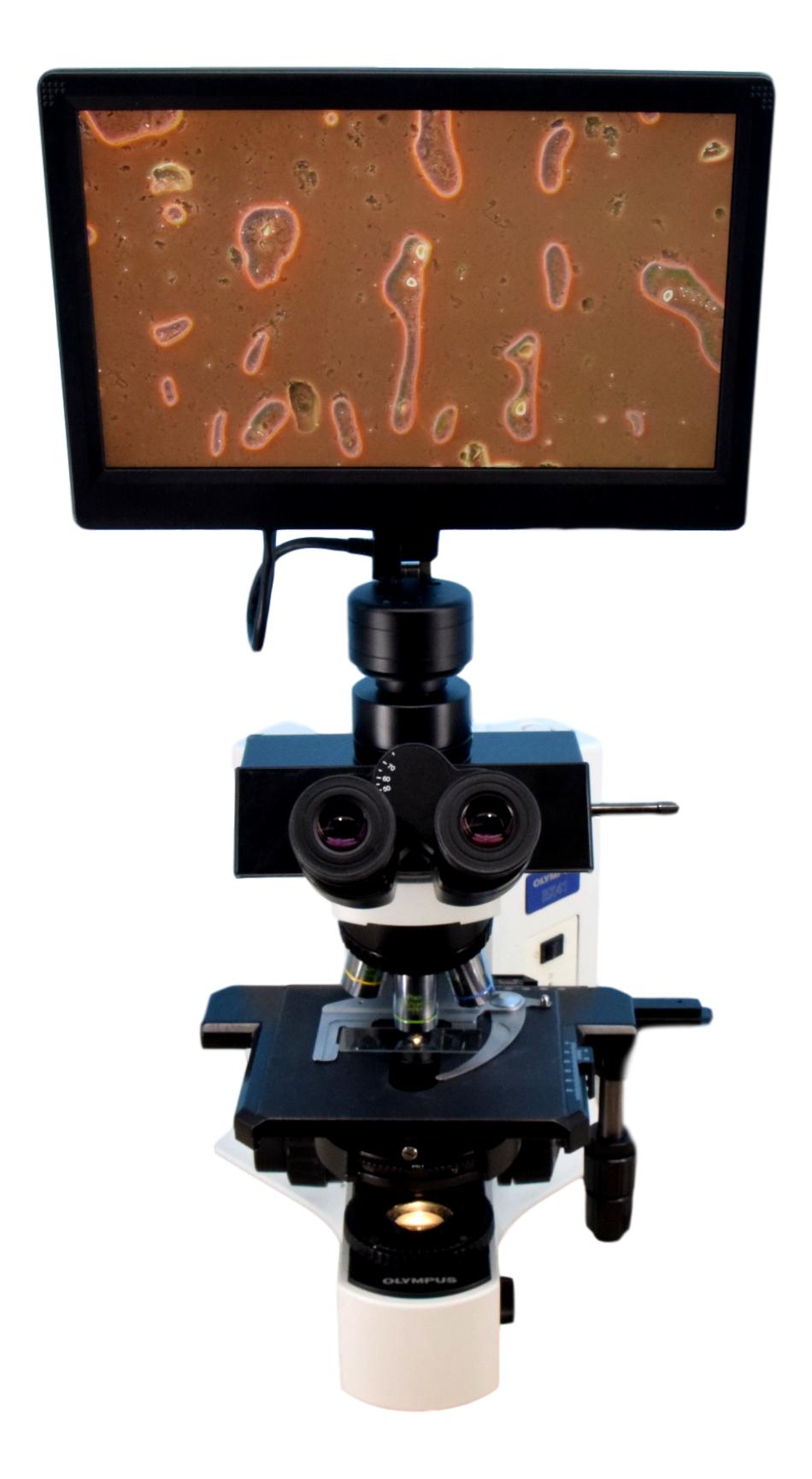 Olympus BX41 Digital Microscope