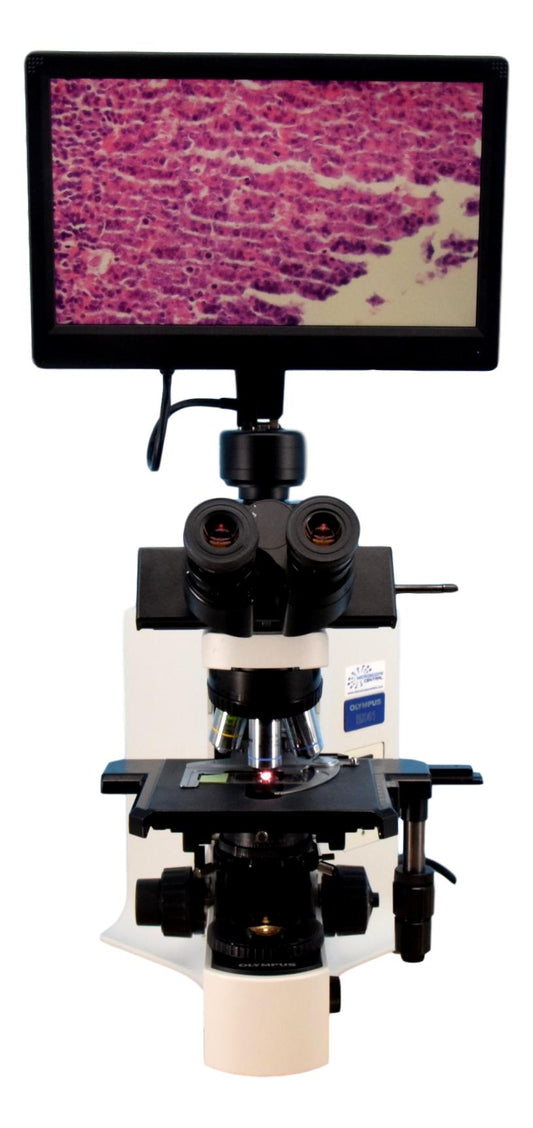 Olympus BX41 HD Digital Microscope