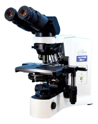 Olympus BX41 DIC Microscope