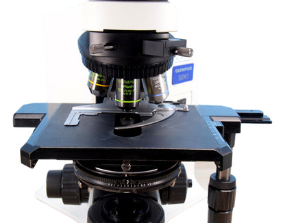 Olympus BX41 DIC Microscope