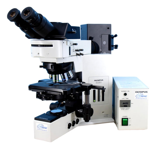 Olympus BX50 Phase Contrast Fluorescence Microscope