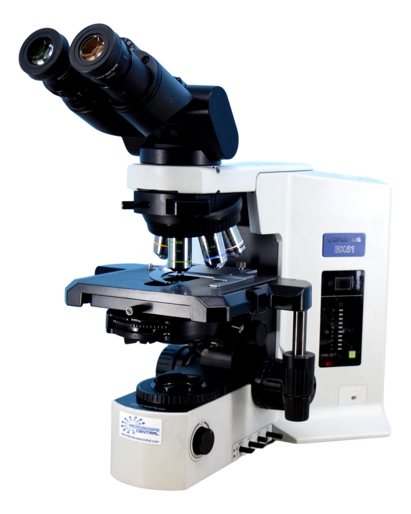 BX51 Phase Contrast Microscope