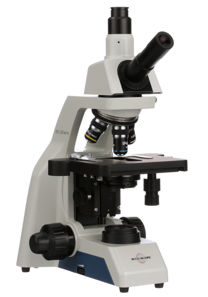 Accu-Scope EXC-121-V Microscope