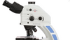 Accu-Scope EXC-350 LED Fluorescence Microscope - DAPI / Calc. White