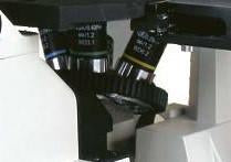 Long Working Distance Objectives for Accu-Scope EXI-300 Microscope - Microscope Central
