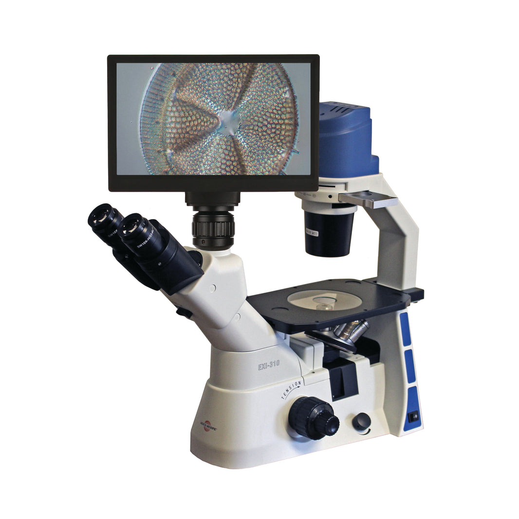Tissue Culture – Microscope Central