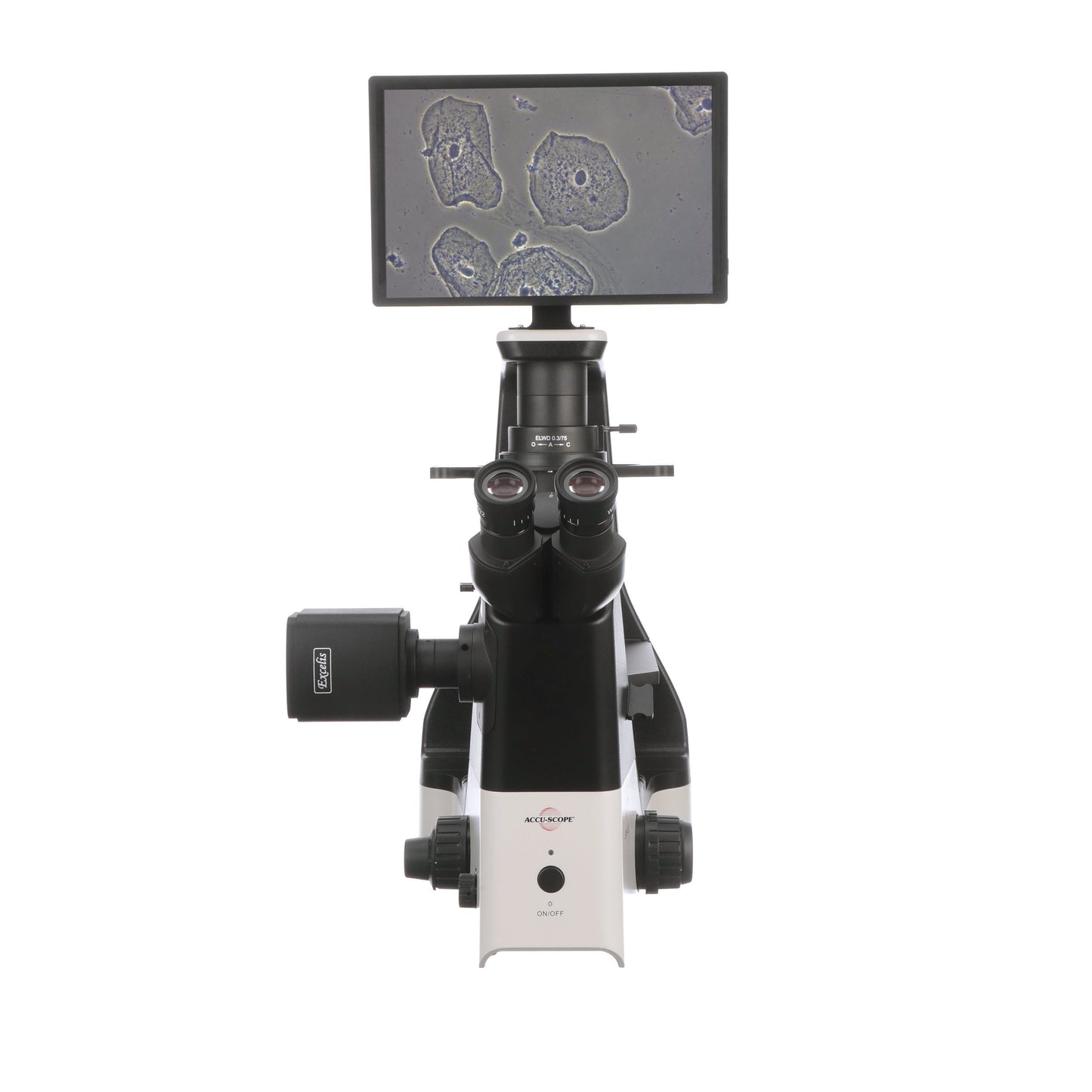 Accu-Scope EXI-410 Inverted Phase Contrast Digital HD Microscope