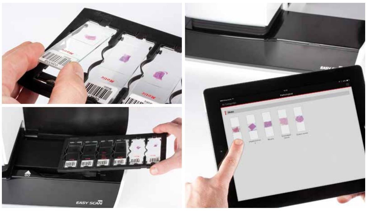 Motic Easy Scan Digital Slide Scanner – Microscope Central